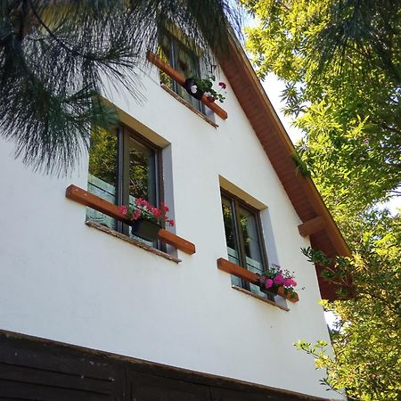 Pele Vendeghaz Villa Velem Bagian luar foto