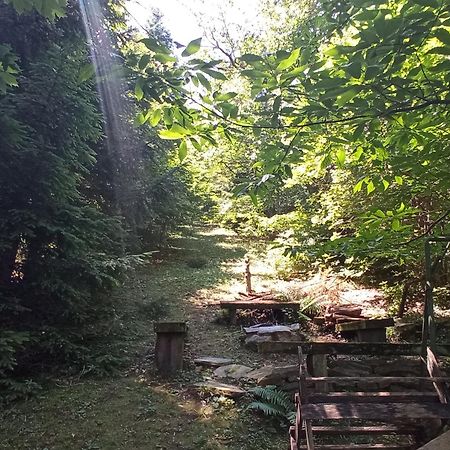 Pele Vendeghaz Villa Velem Bagian luar foto