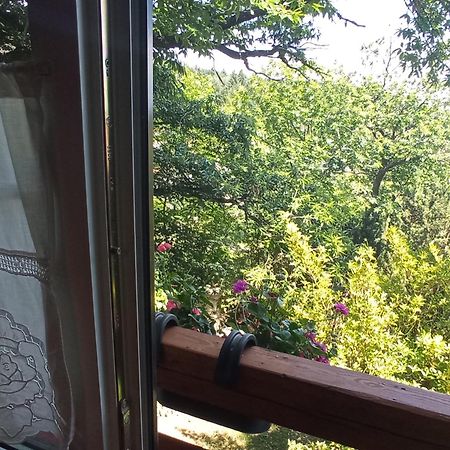 Pele Vendeghaz Villa Velem Bagian luar foto