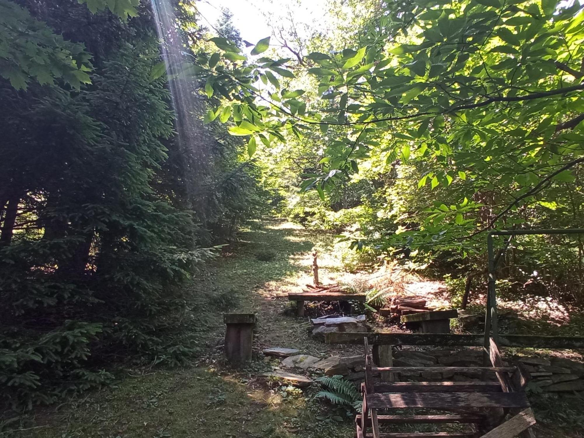 Pele Vendeghaz Villa Velem Bagian luar foto